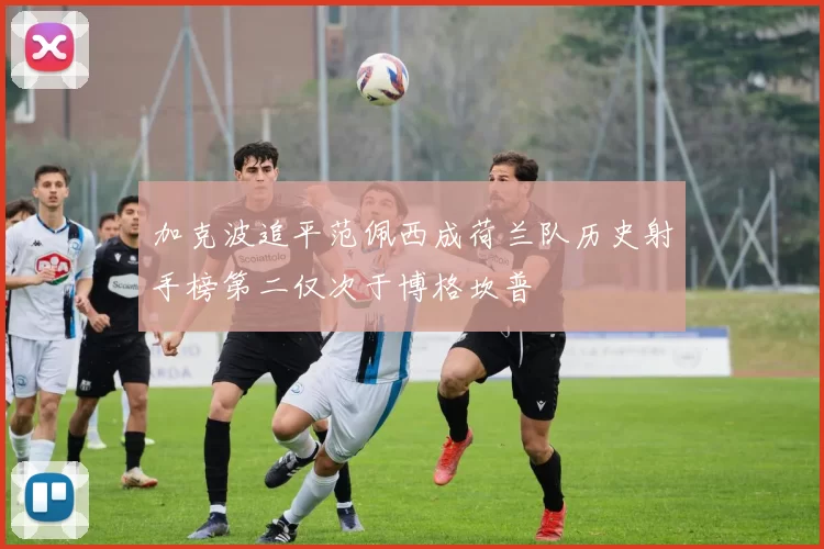 加克波追平范佩西成荷兰队历史射手榜第二仅次于博格坎普